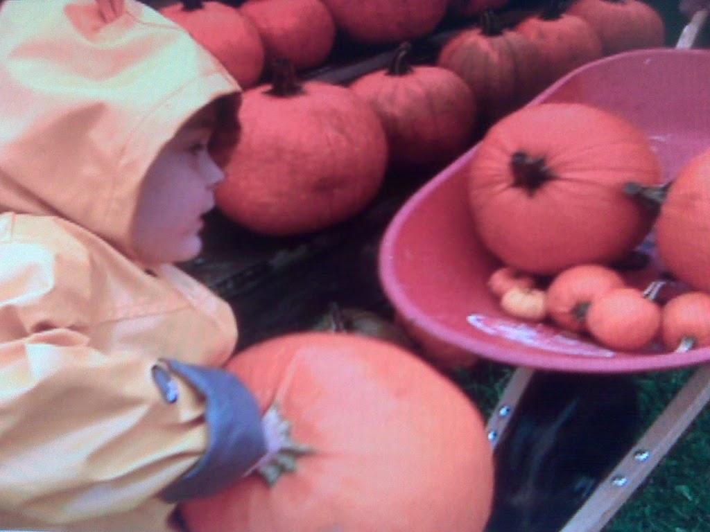 10/02/09: Light Harvest Draws Heavy Crowds to WNY Pumpkin Patches
