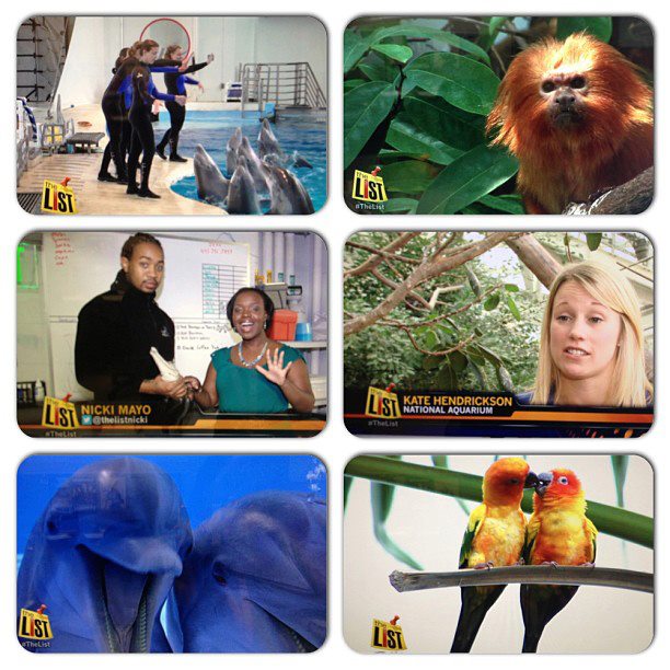 12/17/12: 5 ‘Amazing Experiences’ at the National Aquarium